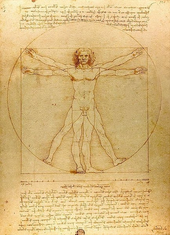 ภาพวาด Vitruvian Man